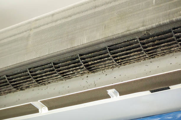 Best Duct Cleaning for Offices  in Waverly, IL